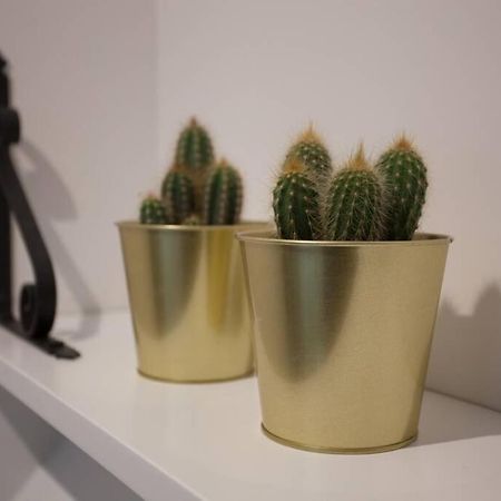 شقة Bonito Apartamento, Nuevo Y En El Casco Viejo!!! بلباو المظهر الخارجي الصورة